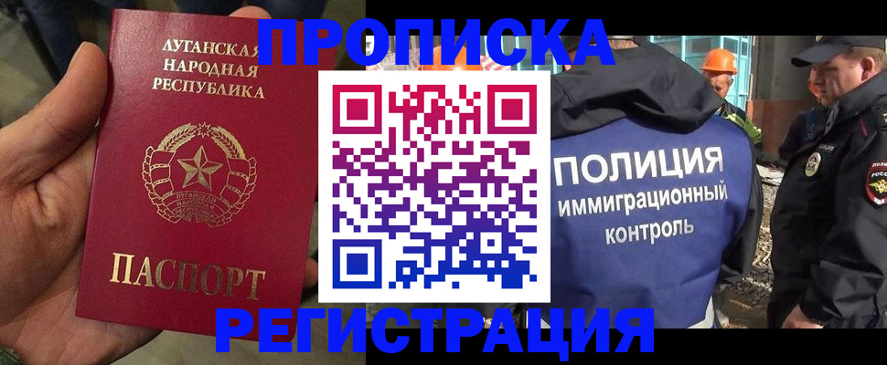 прописка поиск в Камышине