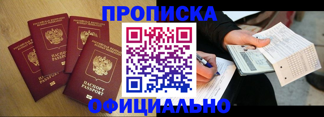 где прописаться в Камышине